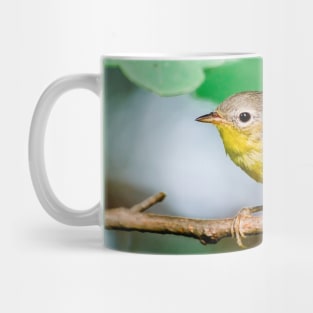 Yellow Warbler, Bird Photography Mug